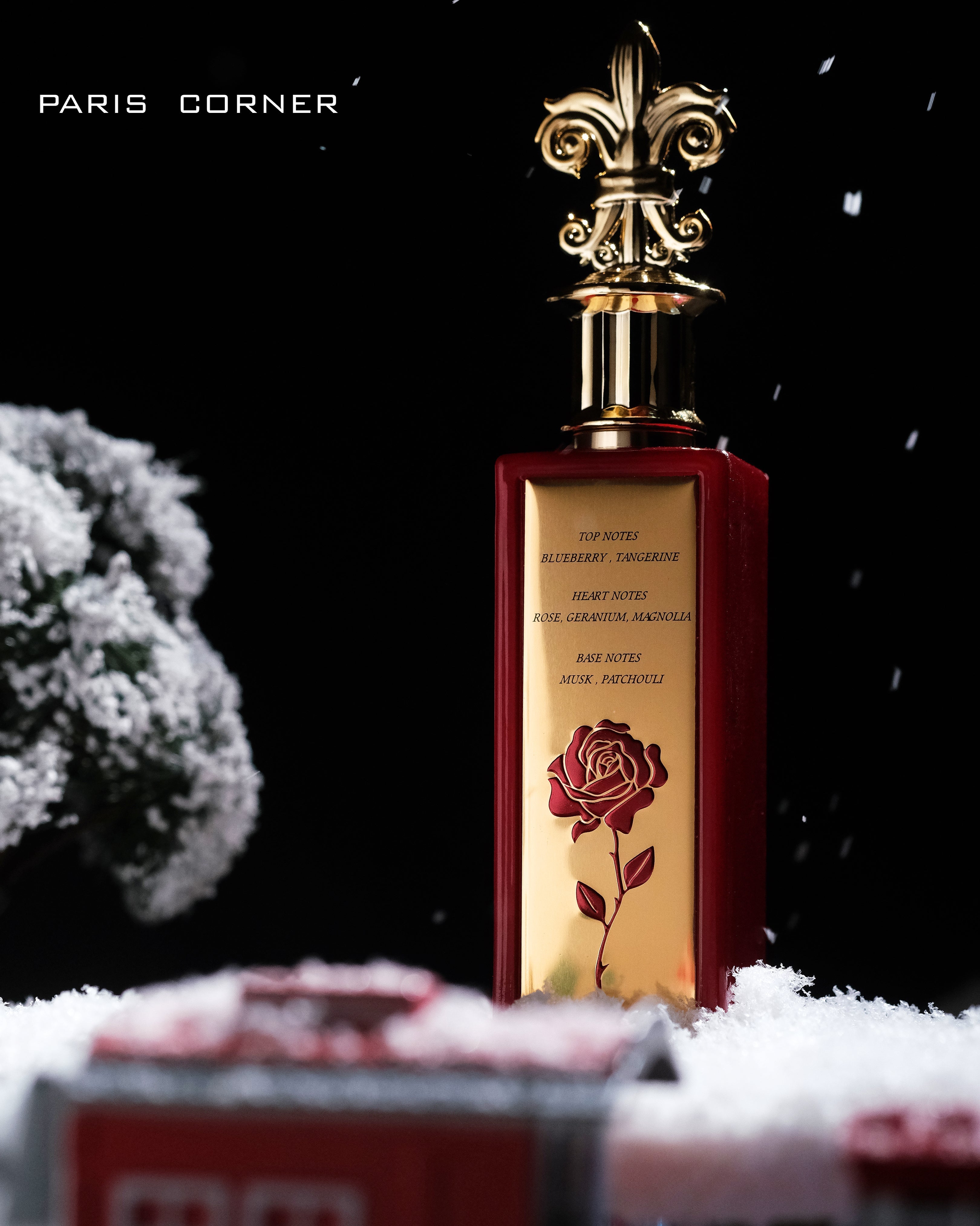 Paris Corner - December Rose Eau de Parfum Floral 100ML