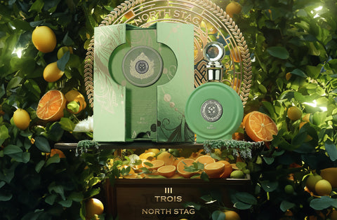 PARIS CORNER Expressions Trois III Eau de Parfum 100ML