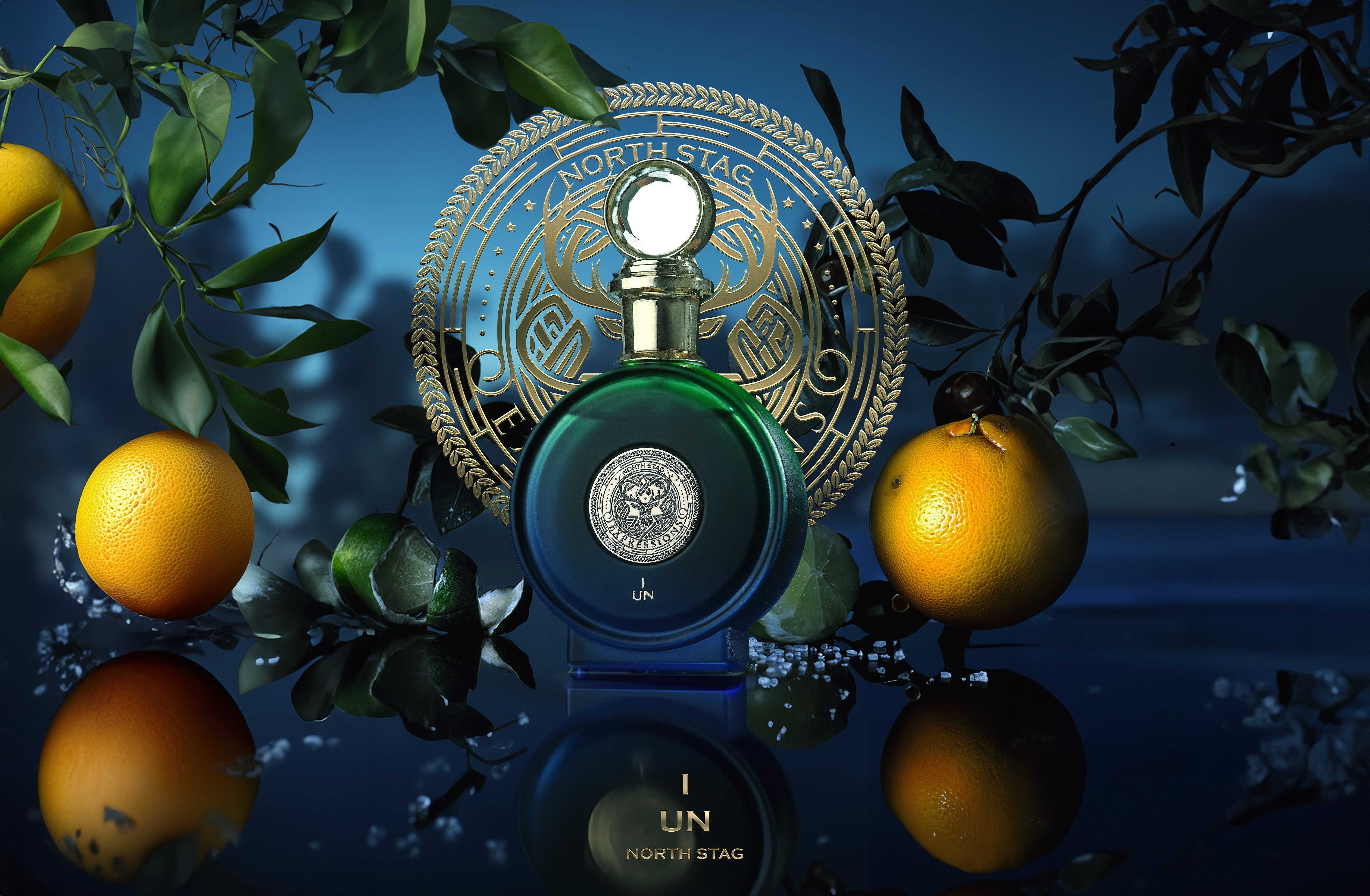 PARIS CORNER North Stag Un I – Eau de Parfum 100ML